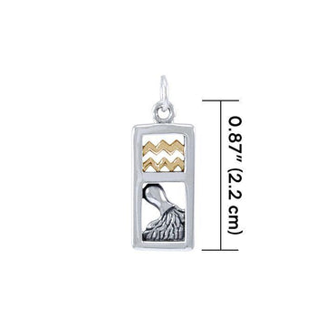 Aquarius Silver and 14k Gold accent Charm MCM293 - Jewelry